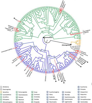 Editorial: Duetting and turn-taking patterns of singing mammals: from genes to vocal plasticity, and beyond